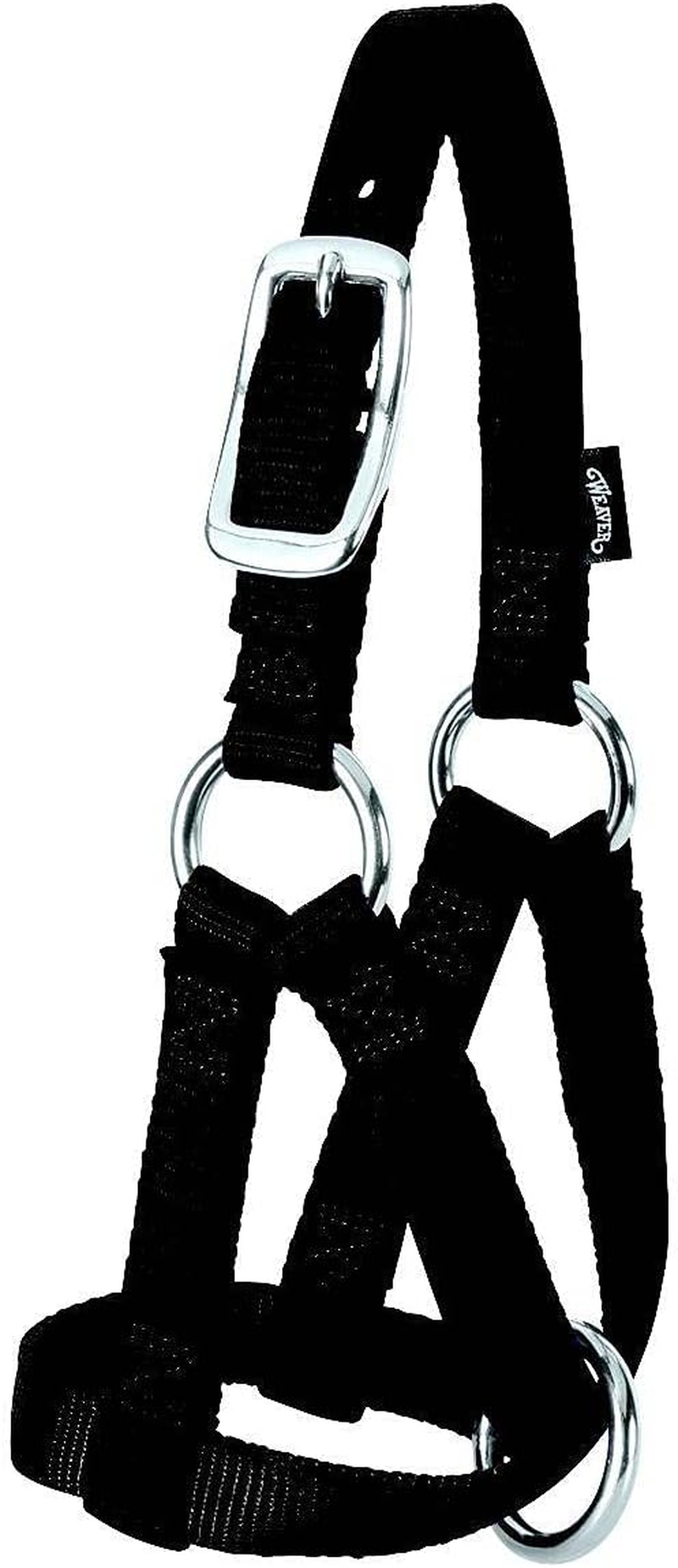 Weaver Leather Goat Halter - Small/3/4-Inch, Hurricane Blue image number 2