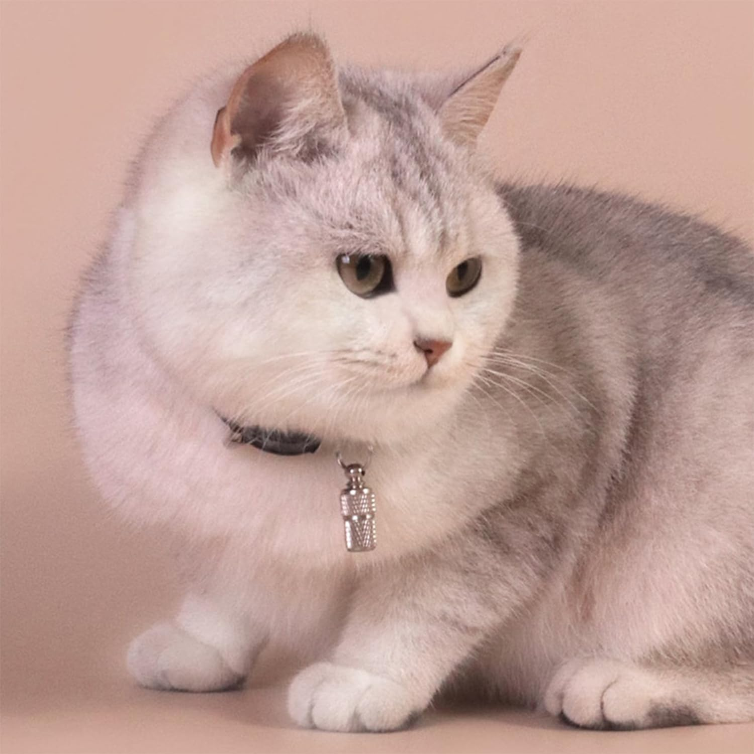 Cat Harness and Leash for Walking, Escape Proof Soft Adjustable Vest Harnesses for Cats,Breathable Reflective Strips Jacket,Strips and anti Lost Pendant(Orange XS) image number 4