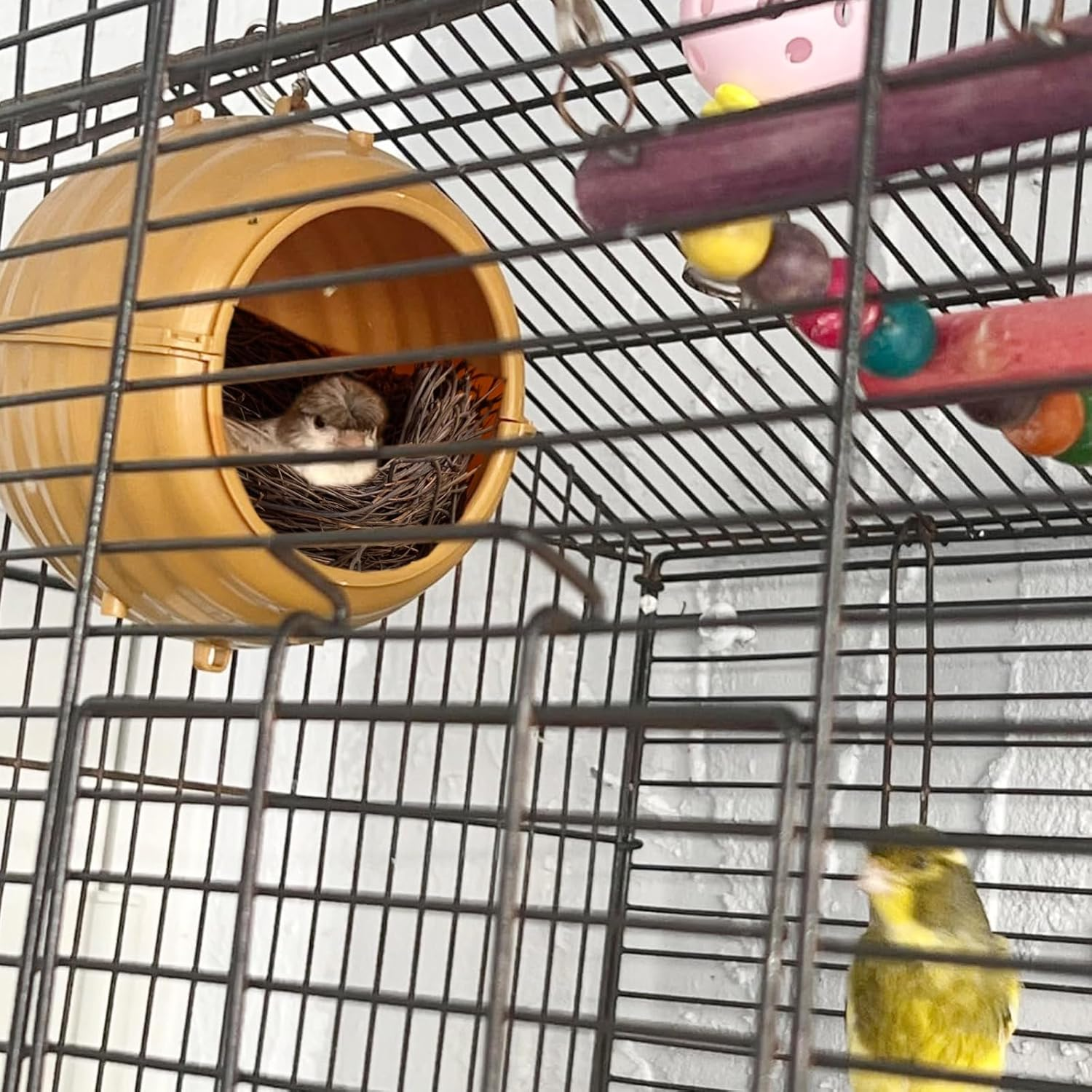 Bird Nest for Cage Swing, Parrot Parakeet Nest, Chewproof Small Bird Bed Hanging House, Washable Parakeet Nest to Lay Eggs Breeding, Finch Nest for Parrot Budgie Canary image number 1