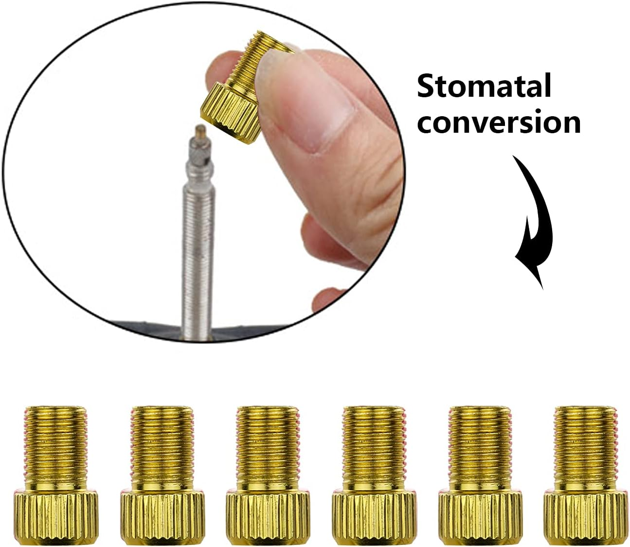 TORMEN Presta Valve Adaptors Convert Presta to Schrader for Bikes, E-Bikes, E-Scooters and Cars (Golden image number 4