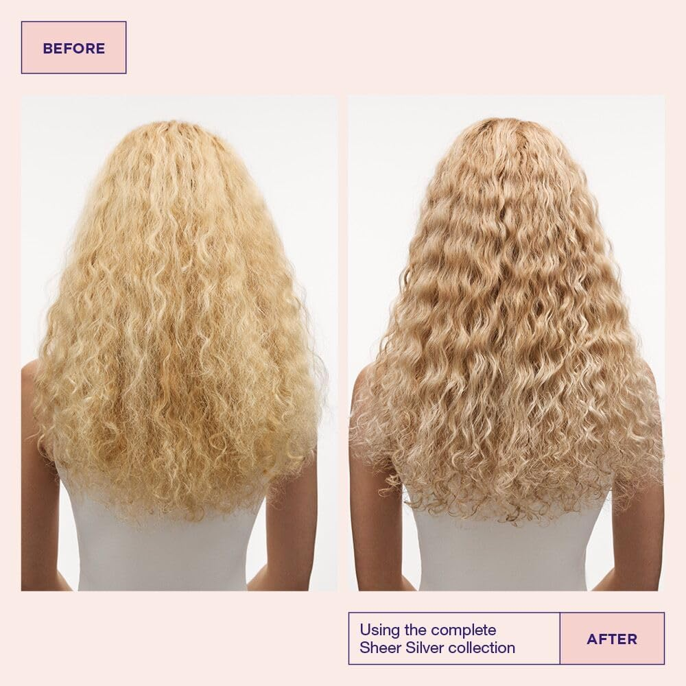 Maria Nila Care & Style Sheer Silver Shampoo, No Yellow Silver Shampoo for a Cool Blonde, Intensive Hair Care anti Yellow Tinting, Sulphate & Paraben Free, 100 Ml