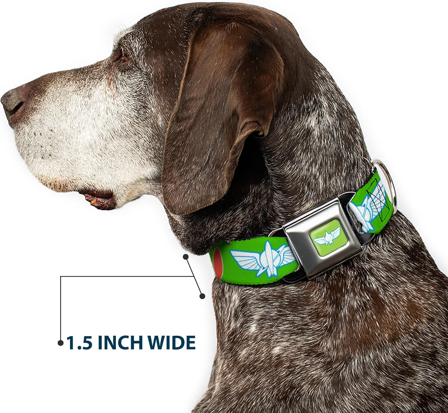 Dog Collar Seatbelt Buckle Toy Story Buzz Lightyear Bounding Space Ranger Logo Buttons 15 to 26 Inches 1.0 Inch Wide image number 4