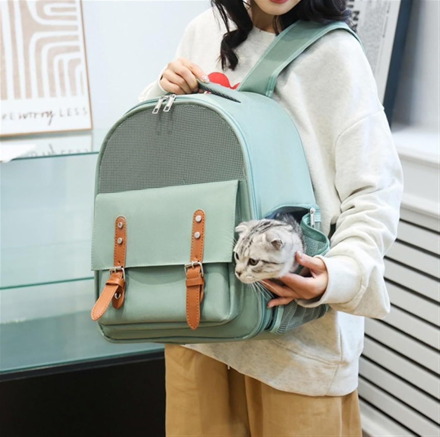 Cat Bag Dog Carrier Pet Carrier Portable Pet Cats Bag Outing Washable Cat Backpack Travel Bag Foldable Bag Cat Carrier Pet Bag Carrier(Color:Green) - Blue image number 5