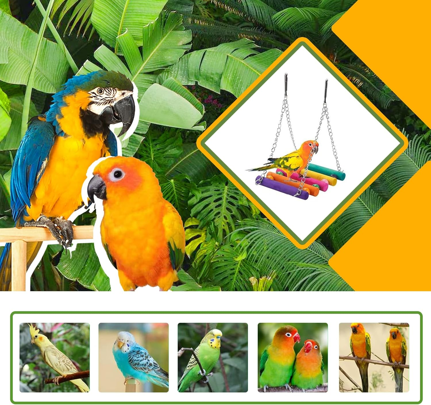 11Pcs Bird Toys Set Colourful Parrot Toys for Small Birds Interactive Ladder Swing Bridge with Bells Safe Lightweight Birds Cage Accessories for Cockatiels Budgies Lovebirds image number 2