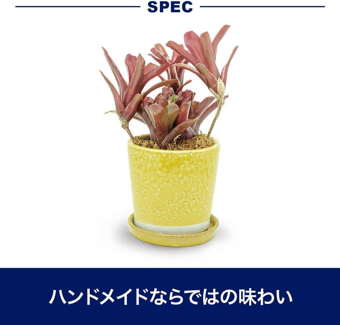 Dulton CH13-G476LGN Color Glazed Pot, Gardening Supplies, Color Lime Green, Size M, with Bottom Hole image number 3