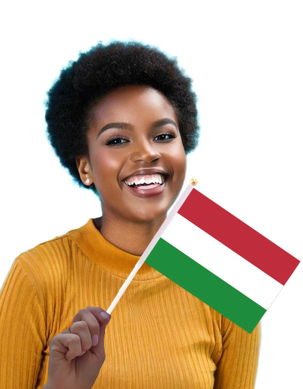 25 Packs Small Hungary Flags on Handheld Stick，Miniature Hungarian Flag for Outside,4X6 Inch Mini Hand Held Banner with Golden Topper,Patriotic Decorations