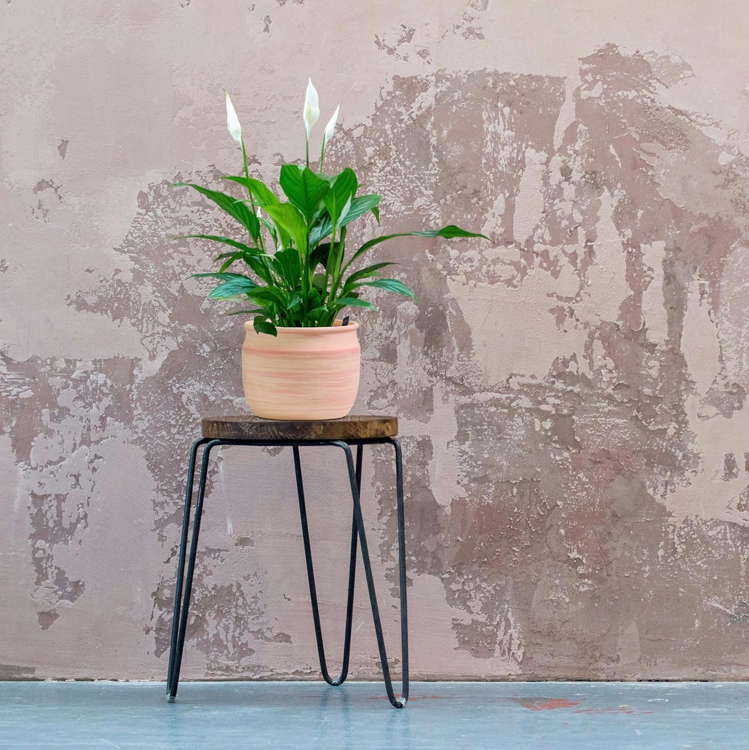 Olly & Rose Large Terracotta Planter - Terracotta Plant Pot 23Cm image number 1