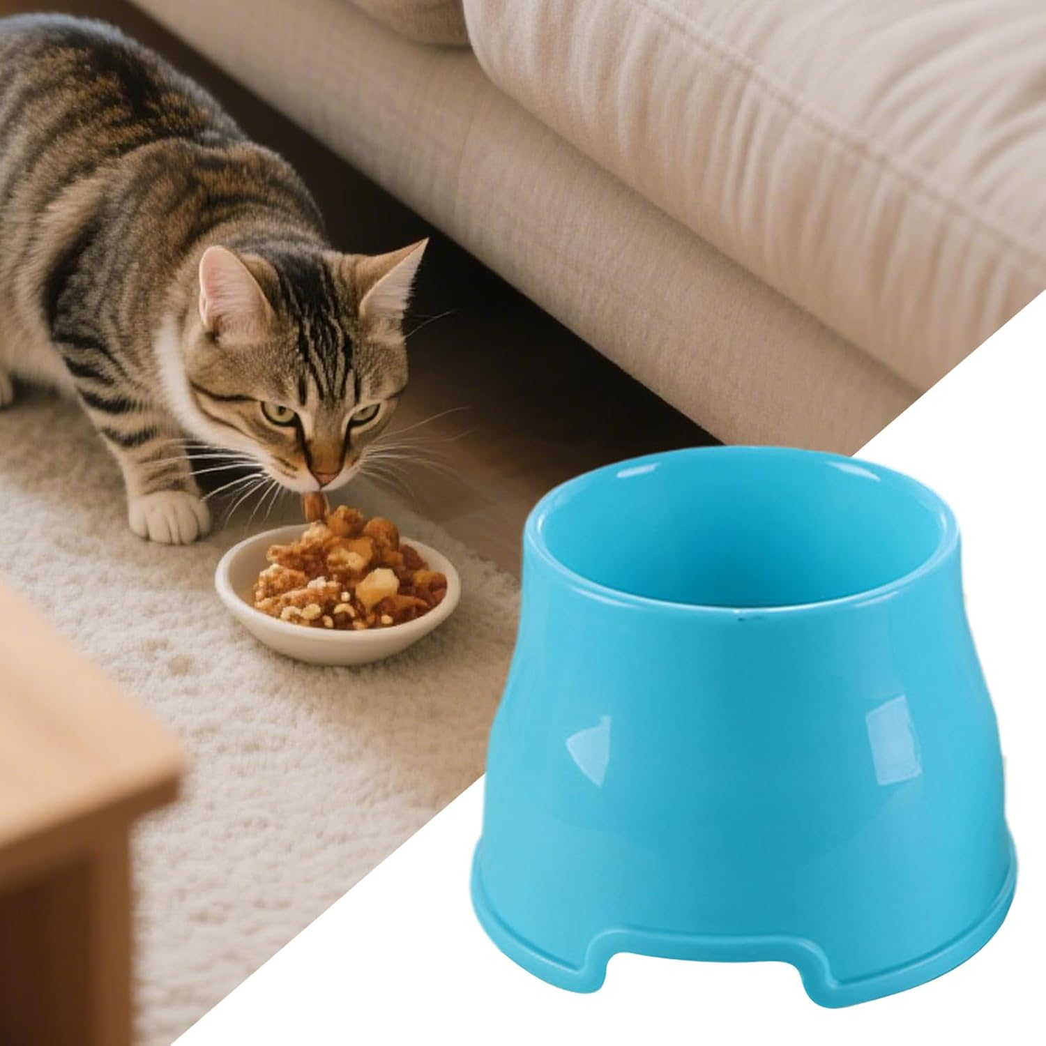 Cat Food Bowl, Elevated Cat Food Bowls, Dishwasher-Safe Pet Feeder Dish for Floor Home Travel Outdoor Camping Trip Veterinary Recovery image number 3