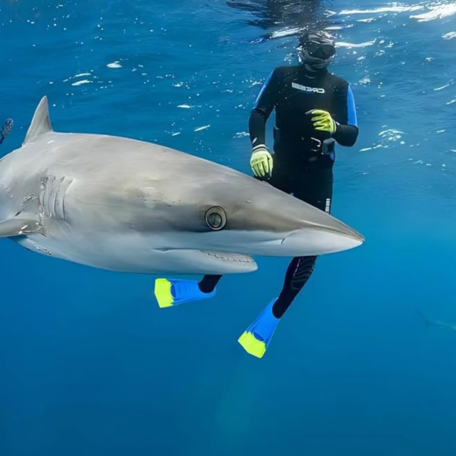 Swimming Flippers - Short Blade Training Fins for Snorkeling, Diving, and Pool Activities - Two Tone Trendy Design for Travel - Men, Women, and Kids with Travel Mesh Bag