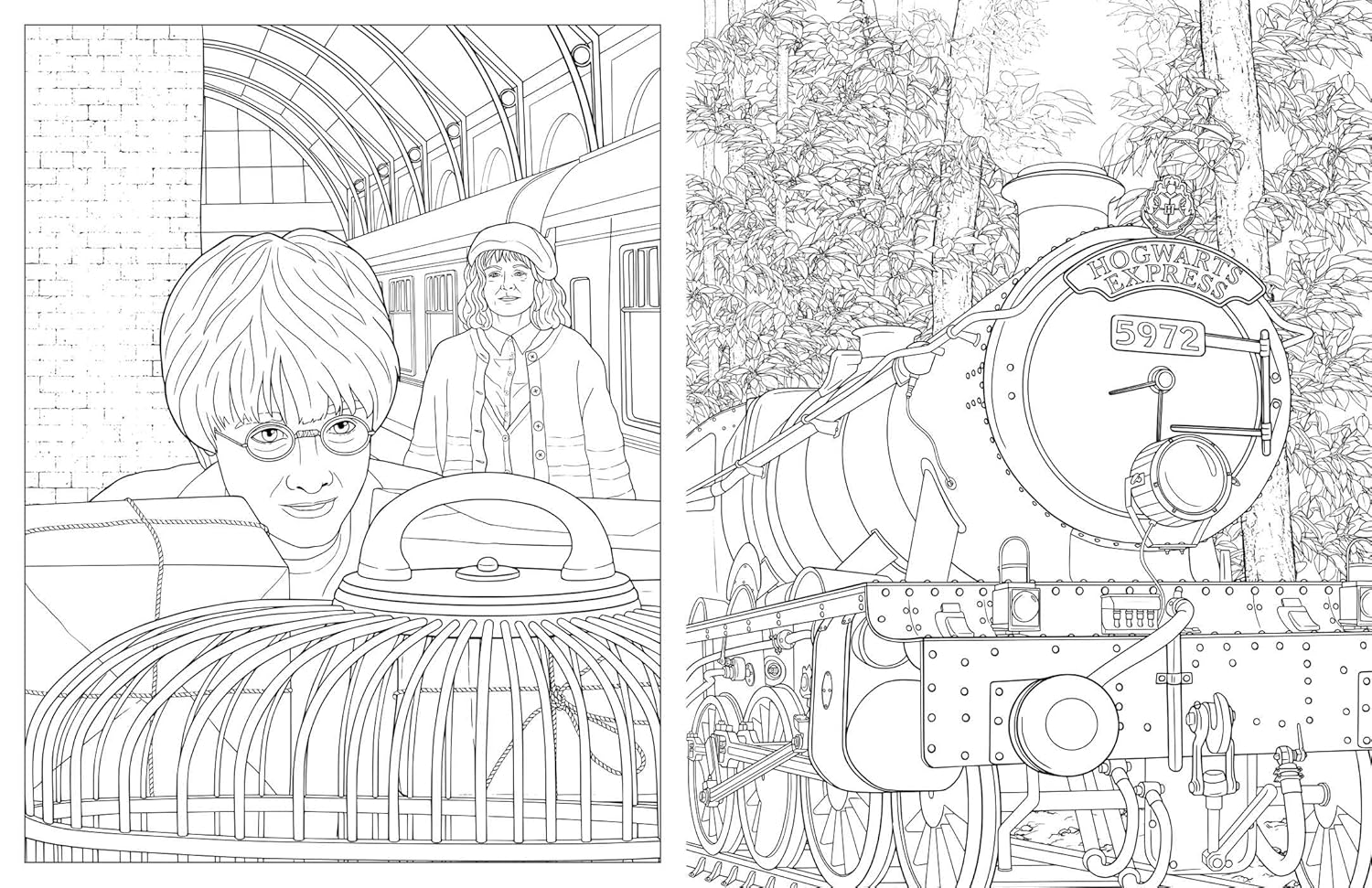 Harry Potter: Travels through the Wizarding World: an Official Coloring Book image number 5