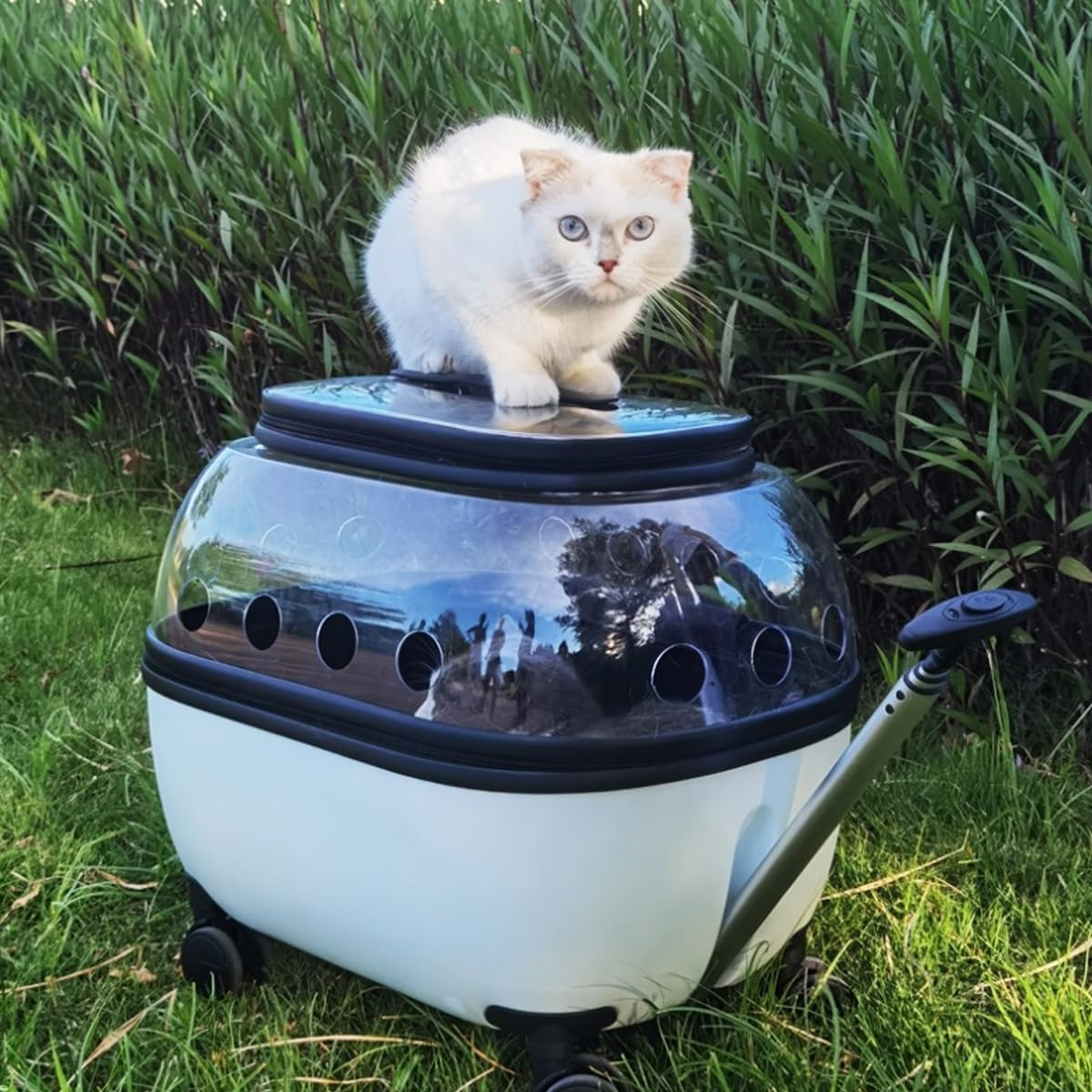 AIMALL Portable Pet Trolley Carrier with Wheels Retractable Handle Ventilated Travel Box for Cats Small Dogs Lightweight Transport Case with Skylight Design 19.7X14.6X18.5In image number 3