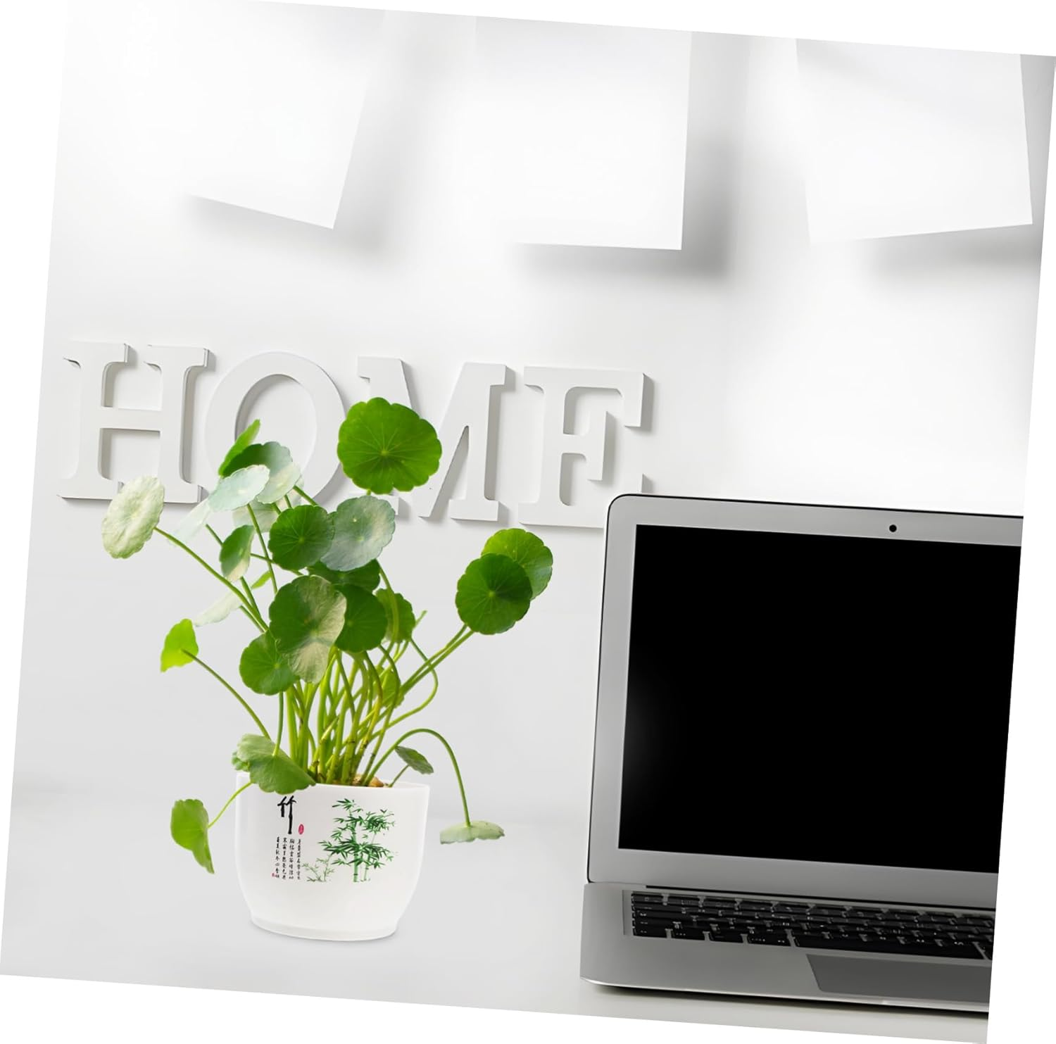 Sosoport 2Pcs Hydroponic Planter Bowl Home Gardening Pot Plastic Daffodil Pot for Indoor Outdoor Use - Multi image number 7