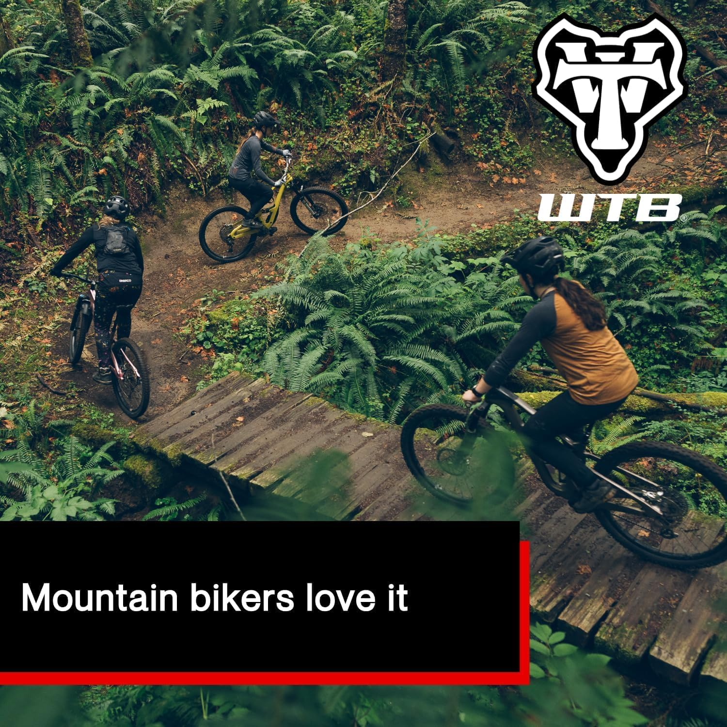 WTB Koda image number 6