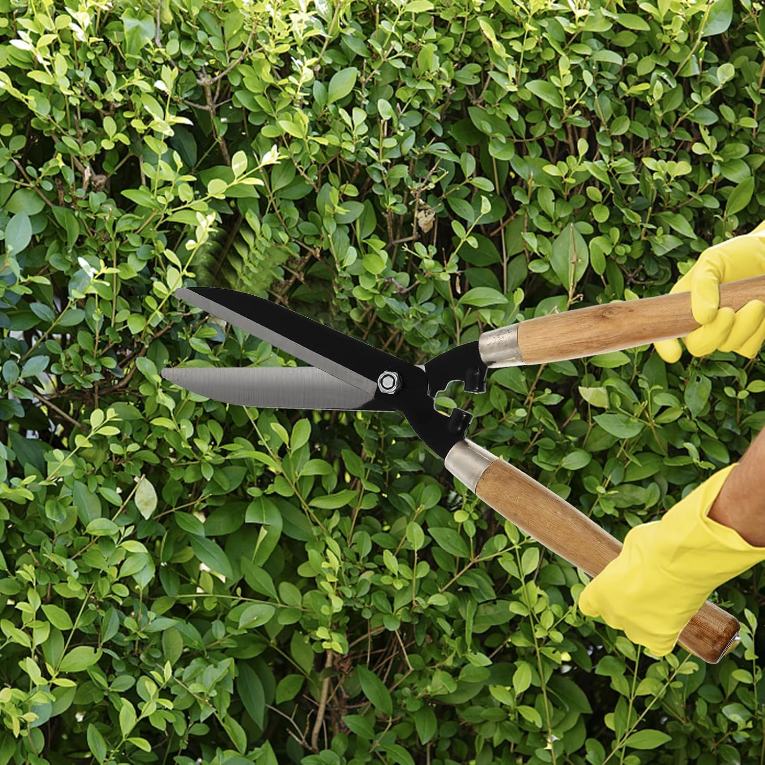 Abaodam High Carbon Steel Hedge Cutter with Wooden Handle, Pruning Shears for Gardening, Lawn and Fruit Tree Branch Scissors, Sturdy Manual Garden Tool for Backyard Hedge Trimming image number 6