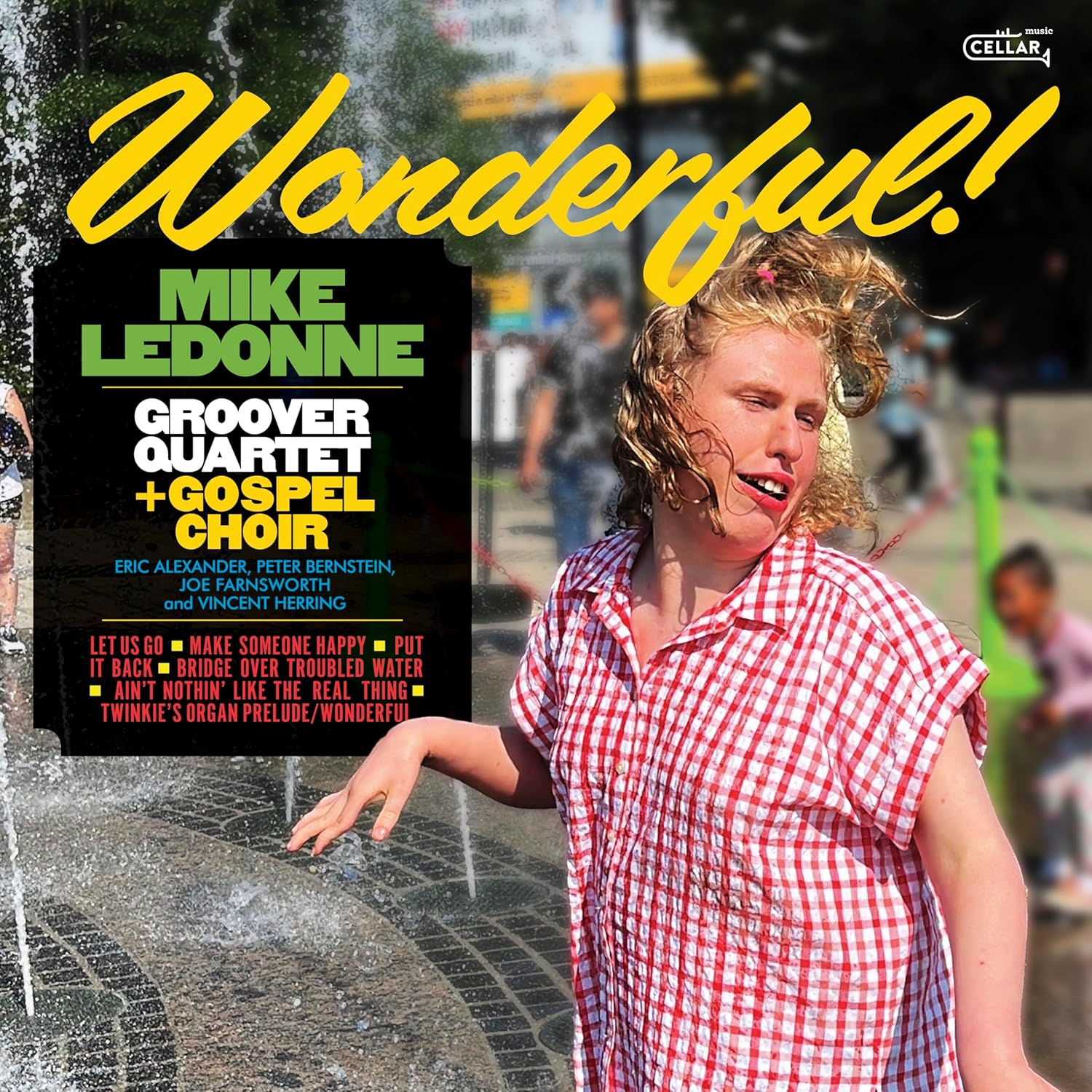 Wonderful - Black Vinyl (LP) image number 1