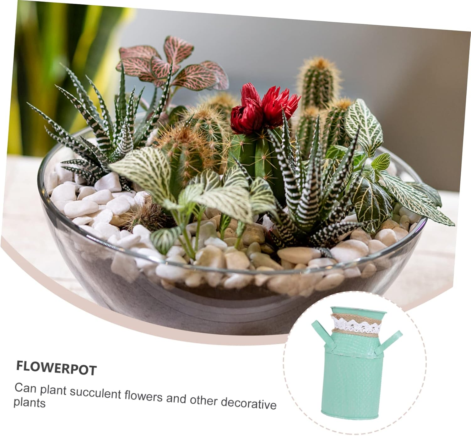 Amosfun 2Pcs Succulent Flowerpot Bonsai Flowerpot Gardening for Household Plant Container Table Decoration for Home Supply and Nursery Decor image number 6