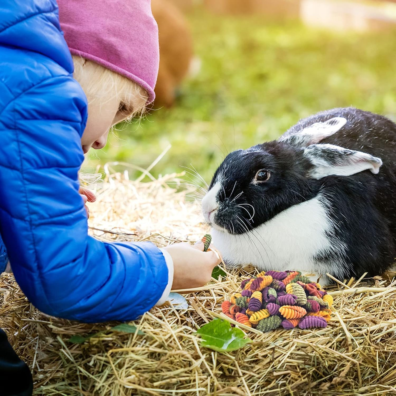 JCBCKJ Rabbit Chew Toys, Timothy Grass Sticks, Rabbit Toys-Grinding Sticks, Suitable for Rabbits, Hamsters, Chinchillas, and Other Rodent Pets of Ideal Snacks (30-1)