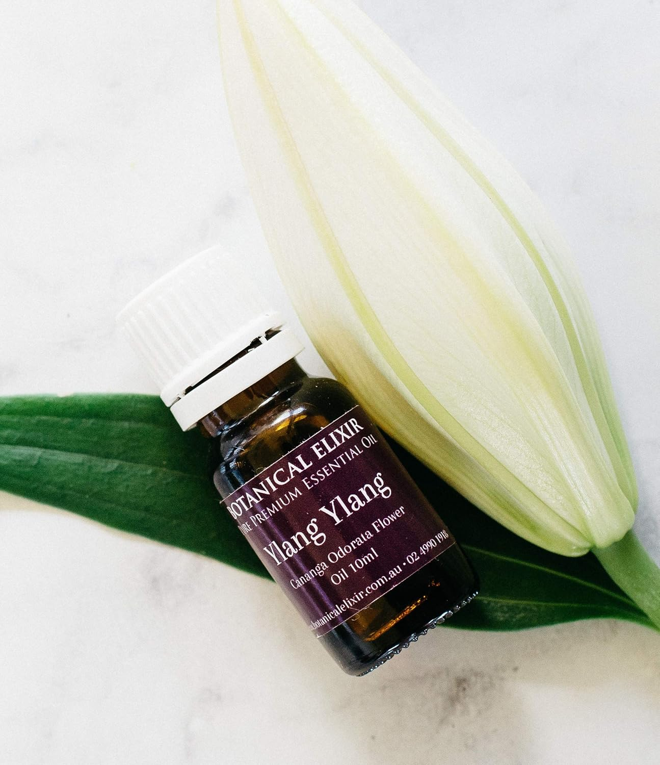 Ylang Ylang Essential Oil