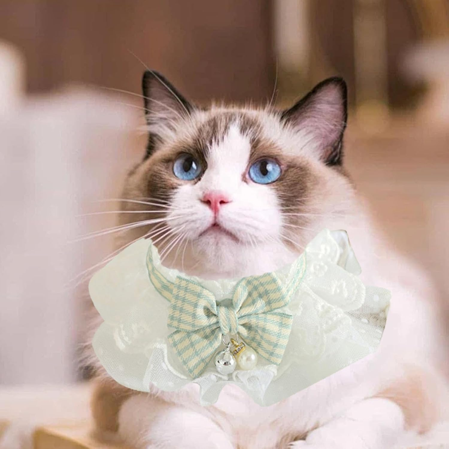 Dog Cat Flora Lace Collar, Puppy Kitten Scarf Necklace Lace Cat Collar with Bow and Bells, Cute Fashionable Pet Neck Scarf Accessories for Dogs Pet Birthday Party Holiday Daily Wear(M-Green) image number 4