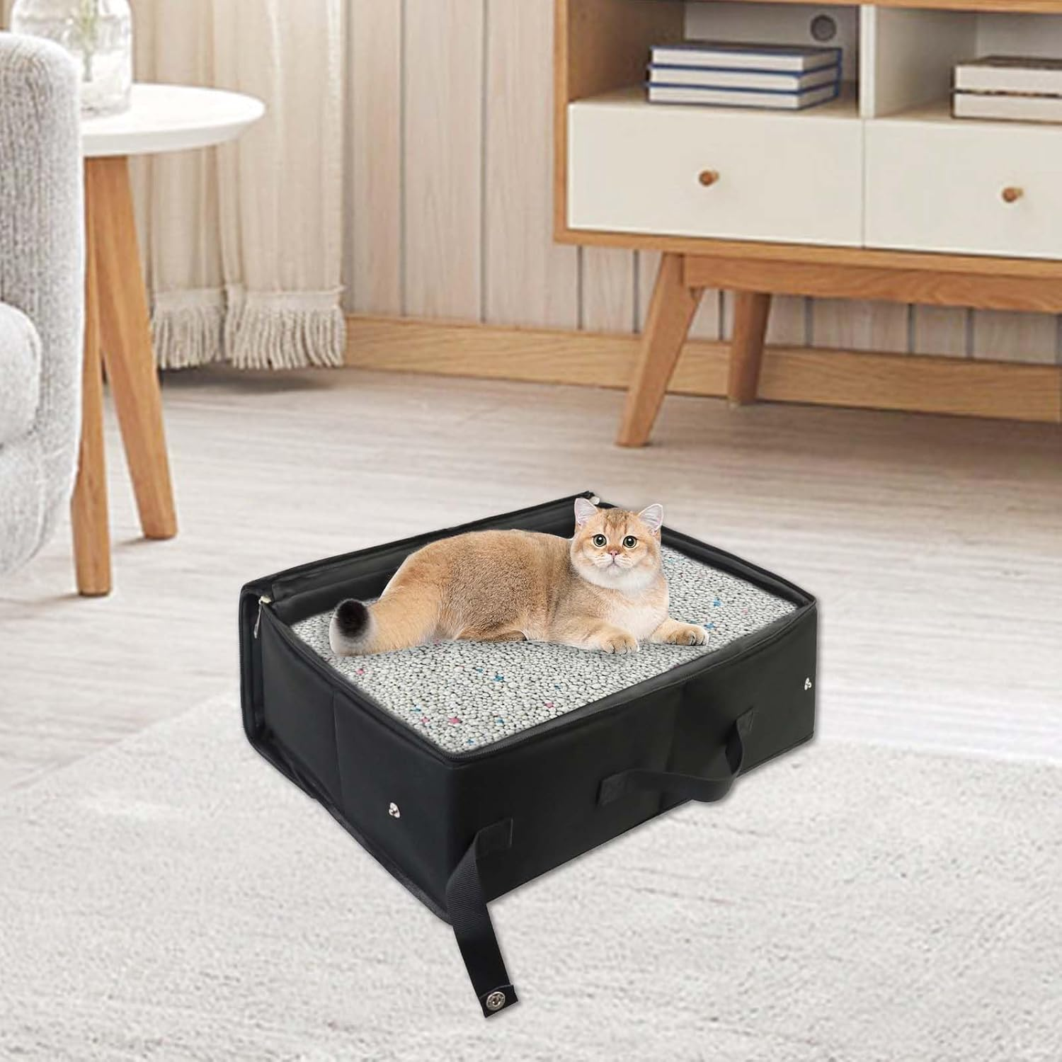 Gomety Portable Cat Travel Toilet with Lid, 40 X 32 X 15 Cm, Foldable Cat Litter Box, Waterproof with Handle, Useful Pets Cat Litter Tray for Travel, Outdoor, Camping, Home Use (Black)