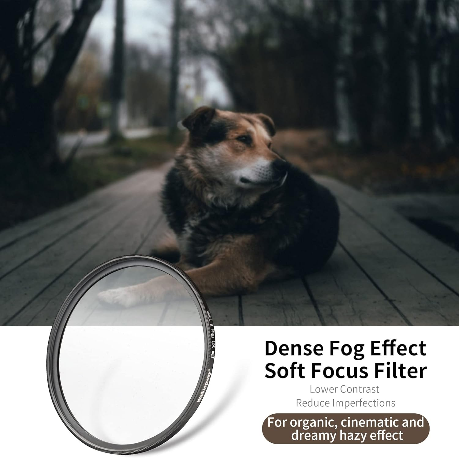 Walking Way White Mist Filter 67MM Soft Focus Filter Circular Diffusion Filter Dreamy Fog Effect Camera Lens Fliter for Video/Vlog/Portrait Photography(Medium-Soft 2, 67MM)