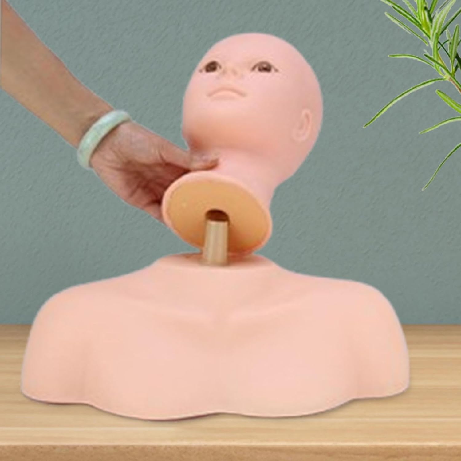 Eigell Shoulder Model,Mannequin Head Stand,Wig Stand,Wig Head Holder for Salon Settings, Home image number 1