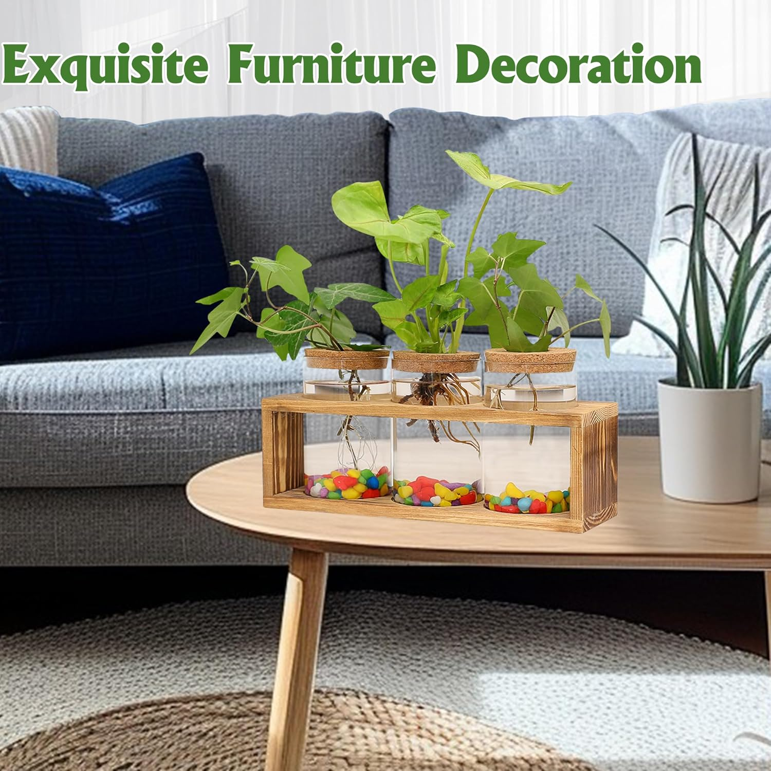 Clear Plant Propagation Station with Retro Wooden Stand, Glass Plant Terrarium Decor with 3 Vase, Desktop Plant Stand for Hydroponic Home Office Garden Decor, Plant Lover Gifts (3 Vase) image number 4