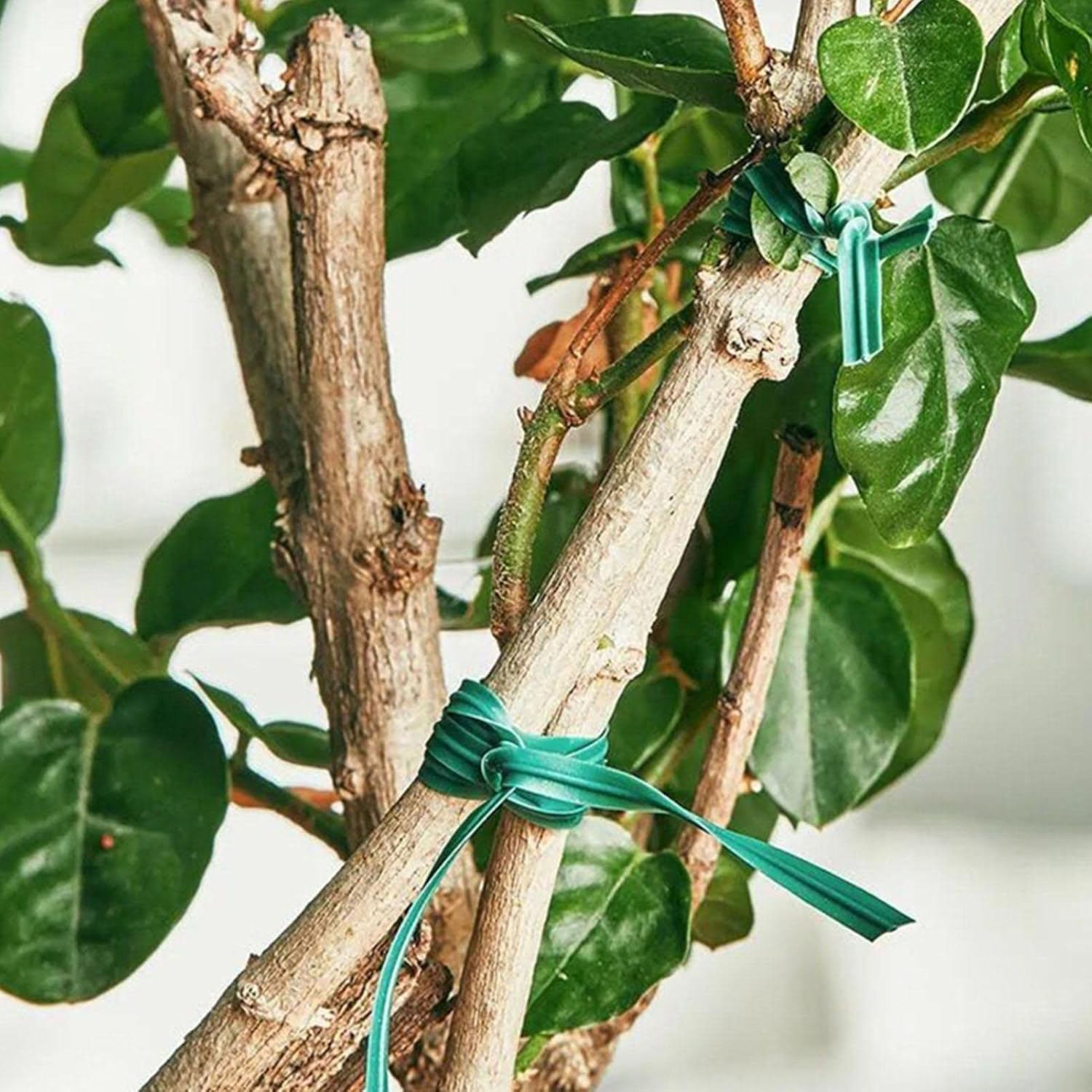 Plant Ties for Support,Garden Support Ties - Gardening Plant Support, Green Florist Wire with Cutter, Floristry Arrangement Supplies, Universal Wire (Size : S) image number 2