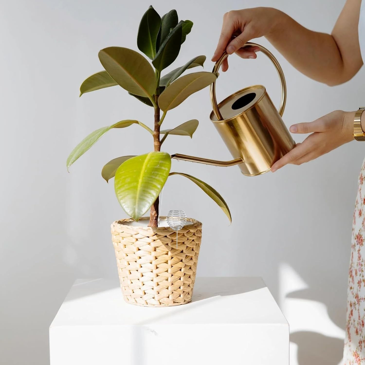 Cabilock 40 Pcs Bonsai Fertilizer Basket Granular Fertilizer Box Garden Supply Bonsai Fertiliser Automatic Planting Fertilizer Stainless Steel Fertilizer Basket Mini Container image number 3