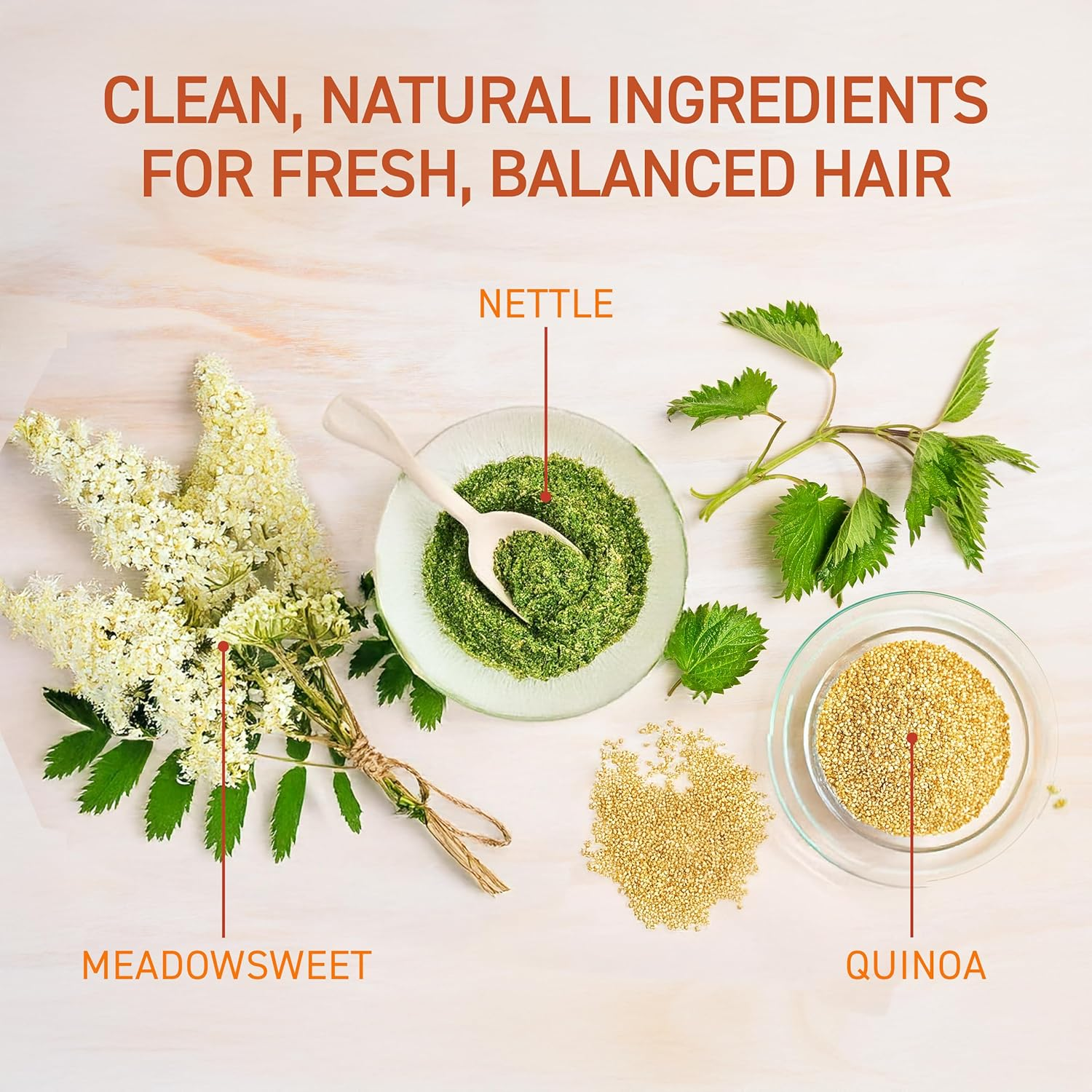 TBH SHAMPOO image number 6