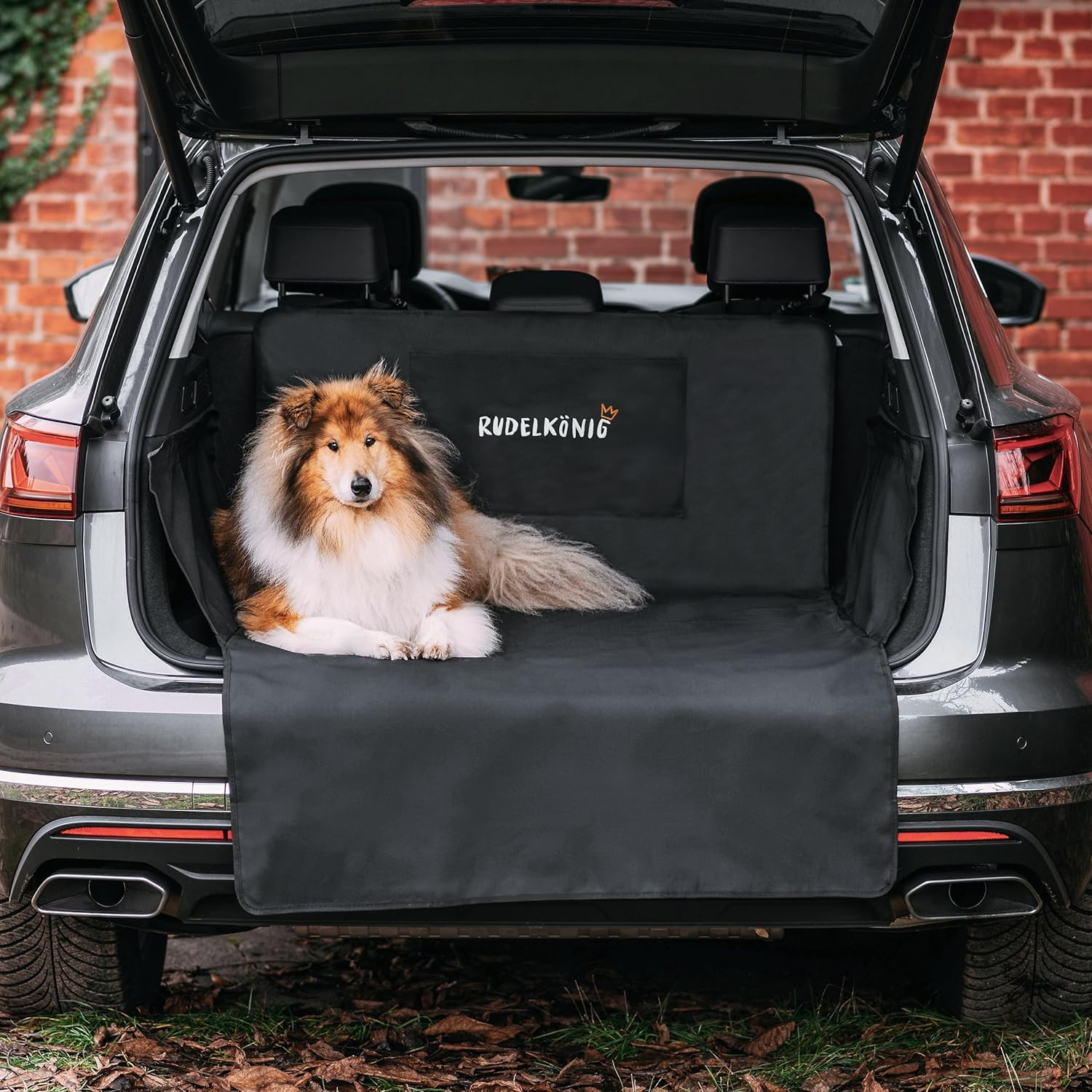 Rudelk&ouml;nig Car Boot Protector Dog with Boot Sill Protection - Water-Repellent and Scratch-Resistant - Quilted Car Dog Blanket with Bag - Universal Boot Protection Mat for Dogs