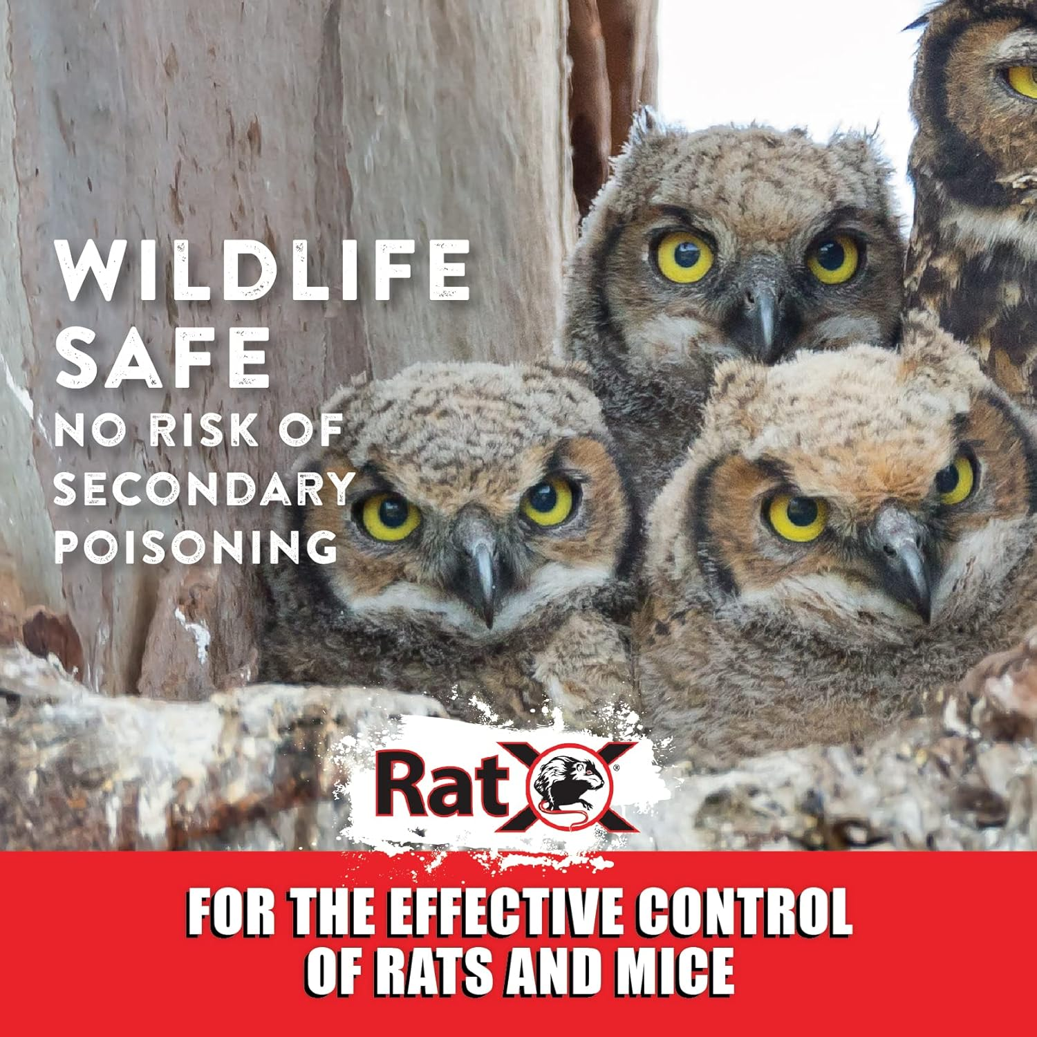 Ratx Throw Packs- for All Species of Rats and Mice. Safe around Pets