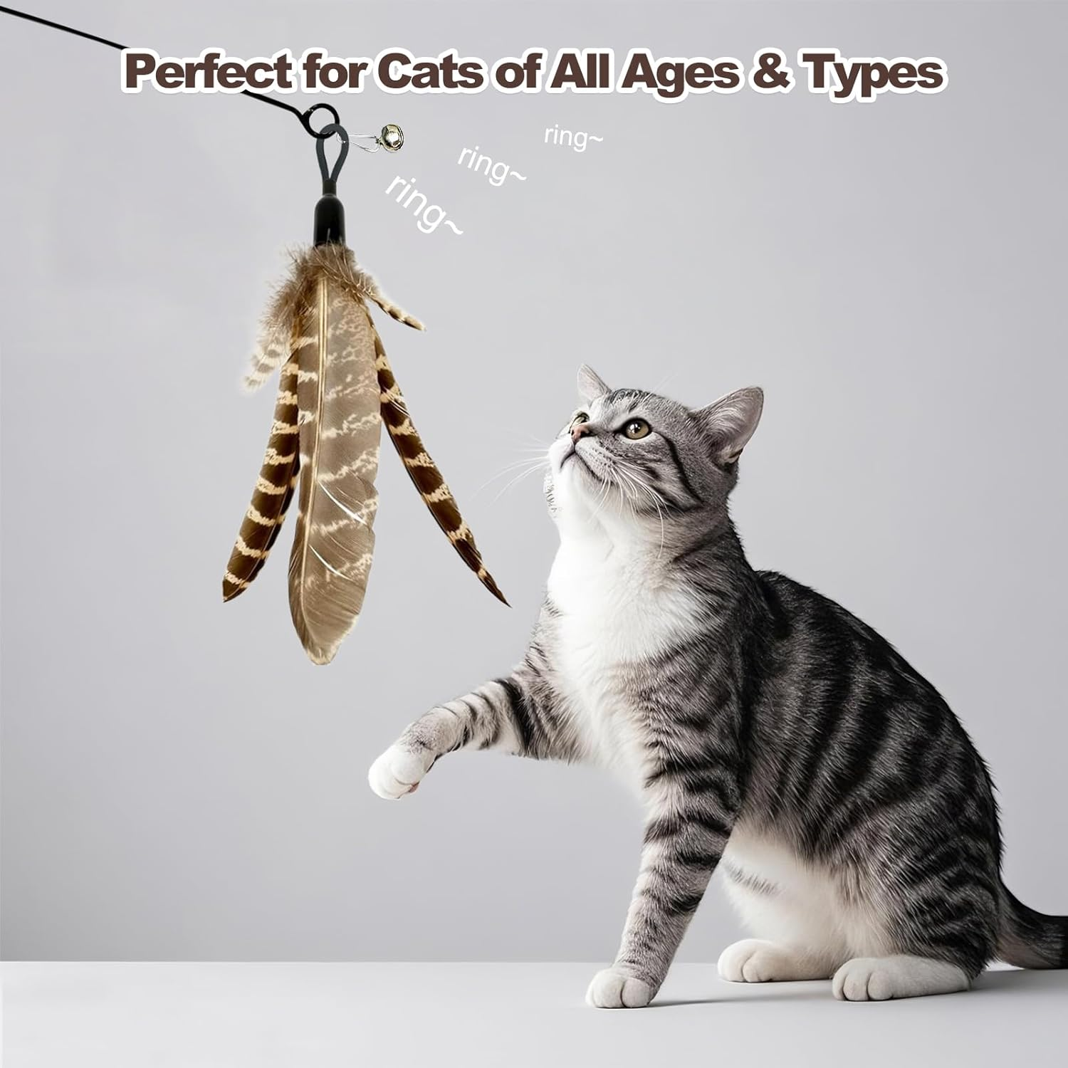 Adpartner Cat Wand Toys, 10-Pack Feather Teaser Cat Toy Set with 8 Feather Refills & 2 Flexible Steel Wire Teaser Wands, Interactive Cat Feather Toys for Indoor Cats to Play Chase Exercise image number 5