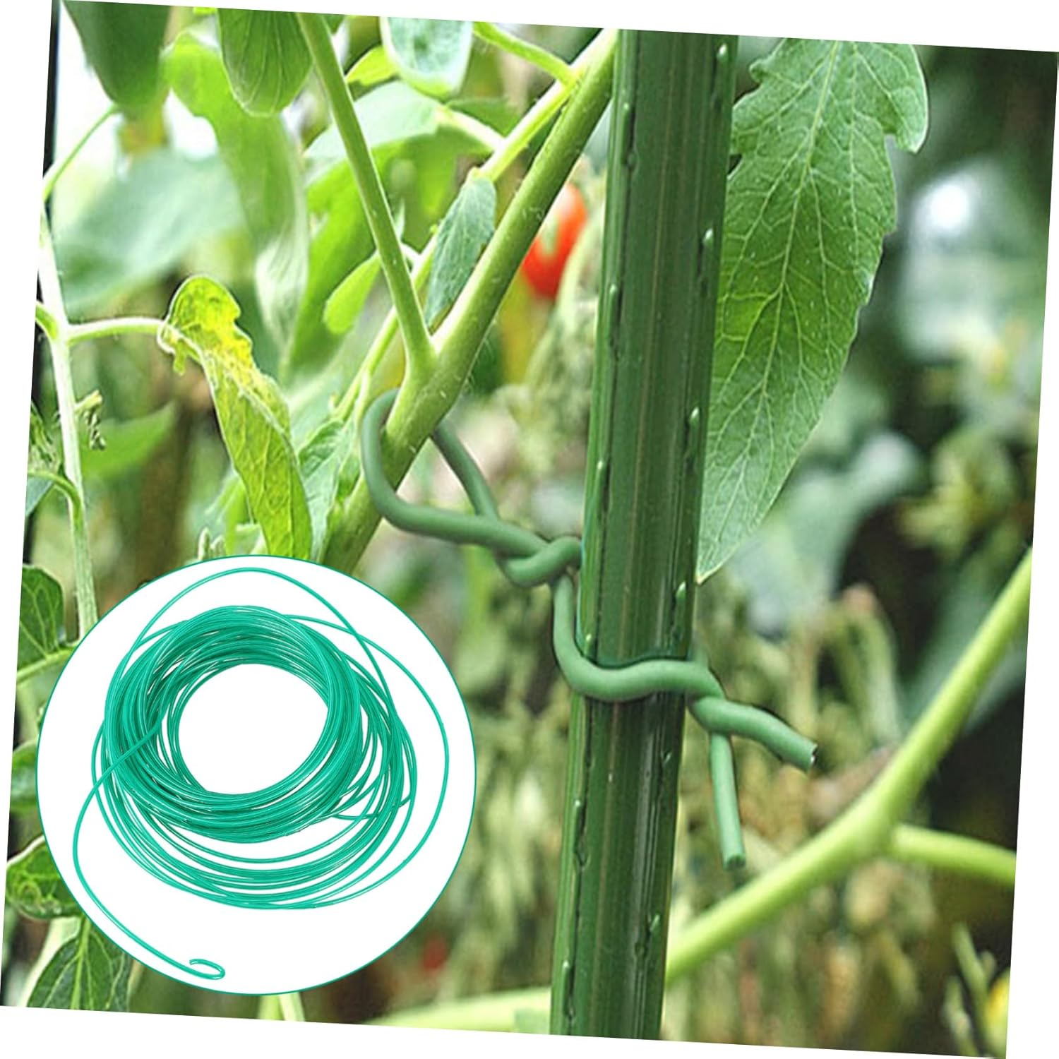 CAXUSD Gardening Wire Plant Staking Ties for Trellis Floral Support DIY Fixing Straps for Indoor Plants Flexible Floral Wire Ties Garden Supplies image number 3