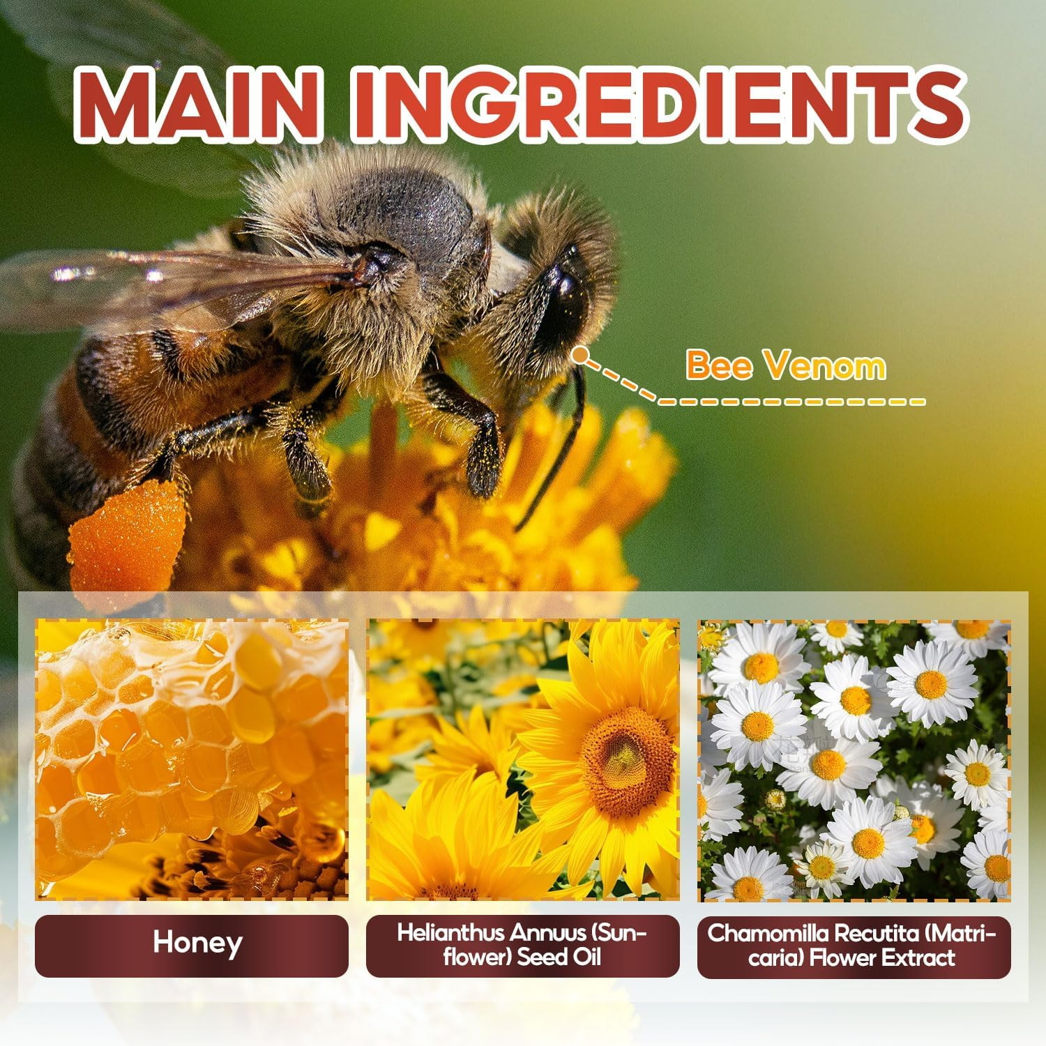 Bee Venom Joint Cream with Chamomile & Honey &ndash; Natural Pain Relief for Joints, Muscles & Arthritis &ndash; Soothes Aches & Stiffness - 150G image number 5