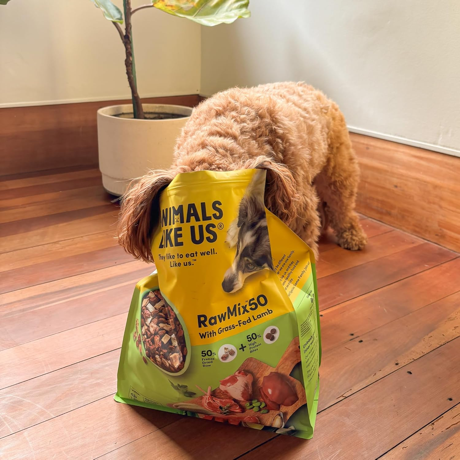 Rawmix50 Premium Freeze-Dried Raw Grass-Fed Lamb Recipe Dog Food, Protein Rich, Includes Kibble, Non-Gmo, No Wheat or Corn, 3.6Kg image number 5