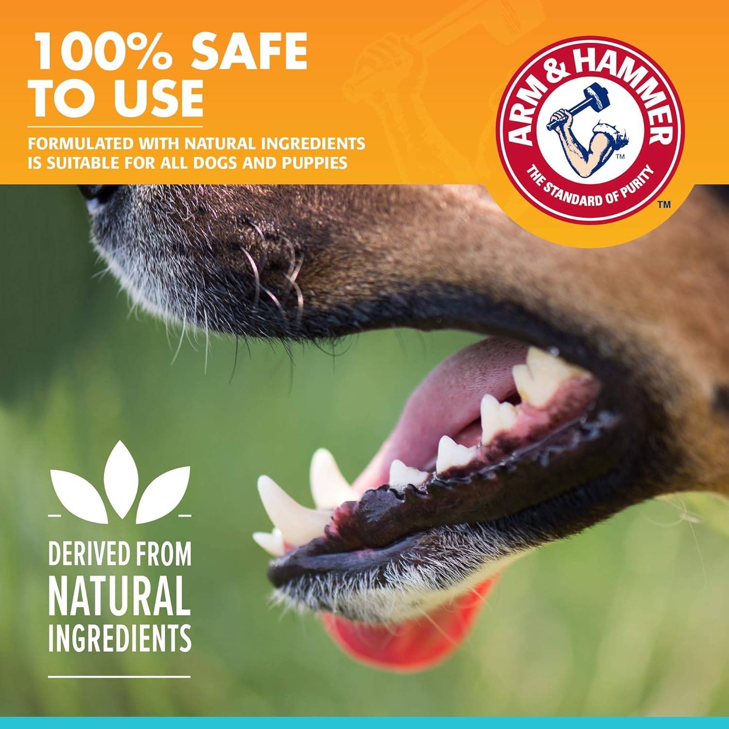 Arm & Hammer Dog Dental Care Fresh Breath Enzymatic Toothpaste for Dogs | No More Doggie Breath | Safe for Puppies, Advanced Care, Chicken Flavor image number 5