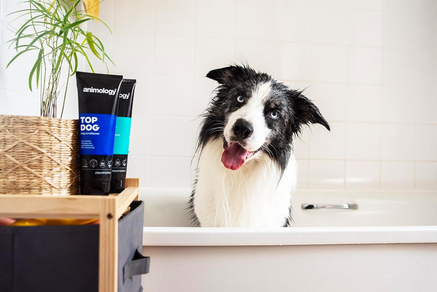 Animology Top Dog Conditioner 2.5L image number 5