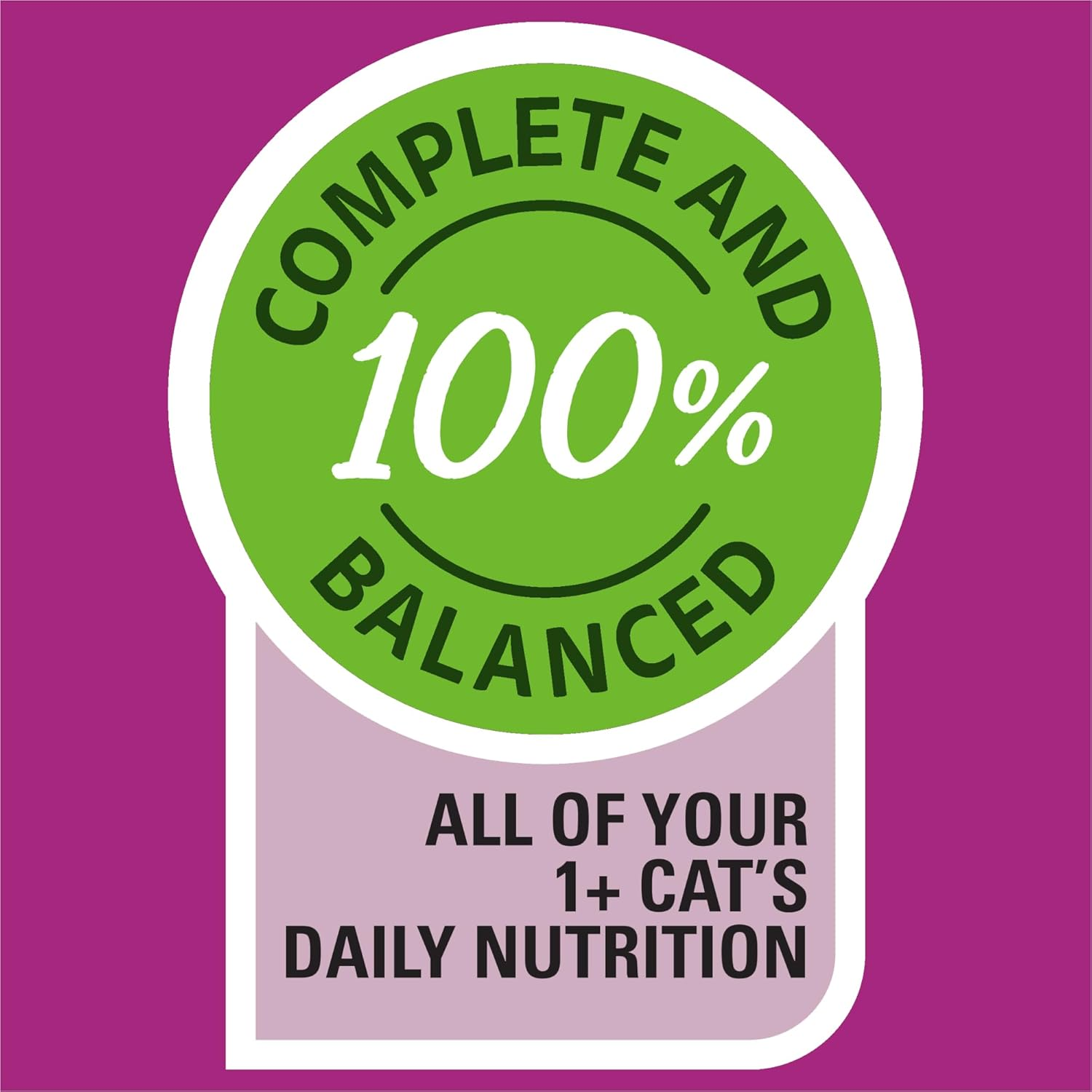 Whiskas Favourites with Chicken Cat Wet Food 85 G (Pack of 60) image number 6