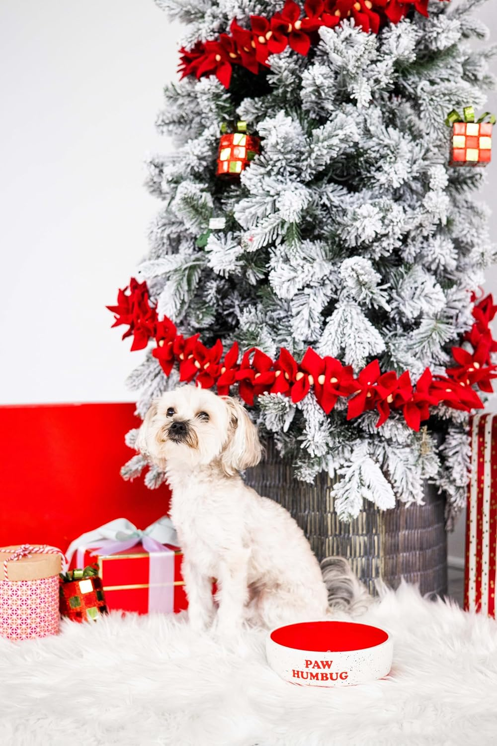 Pearhead Paw Humbug Pet Bowl, Dog Water and Food Dish, Christmas Holiday Dog Pet Bowl, Medium