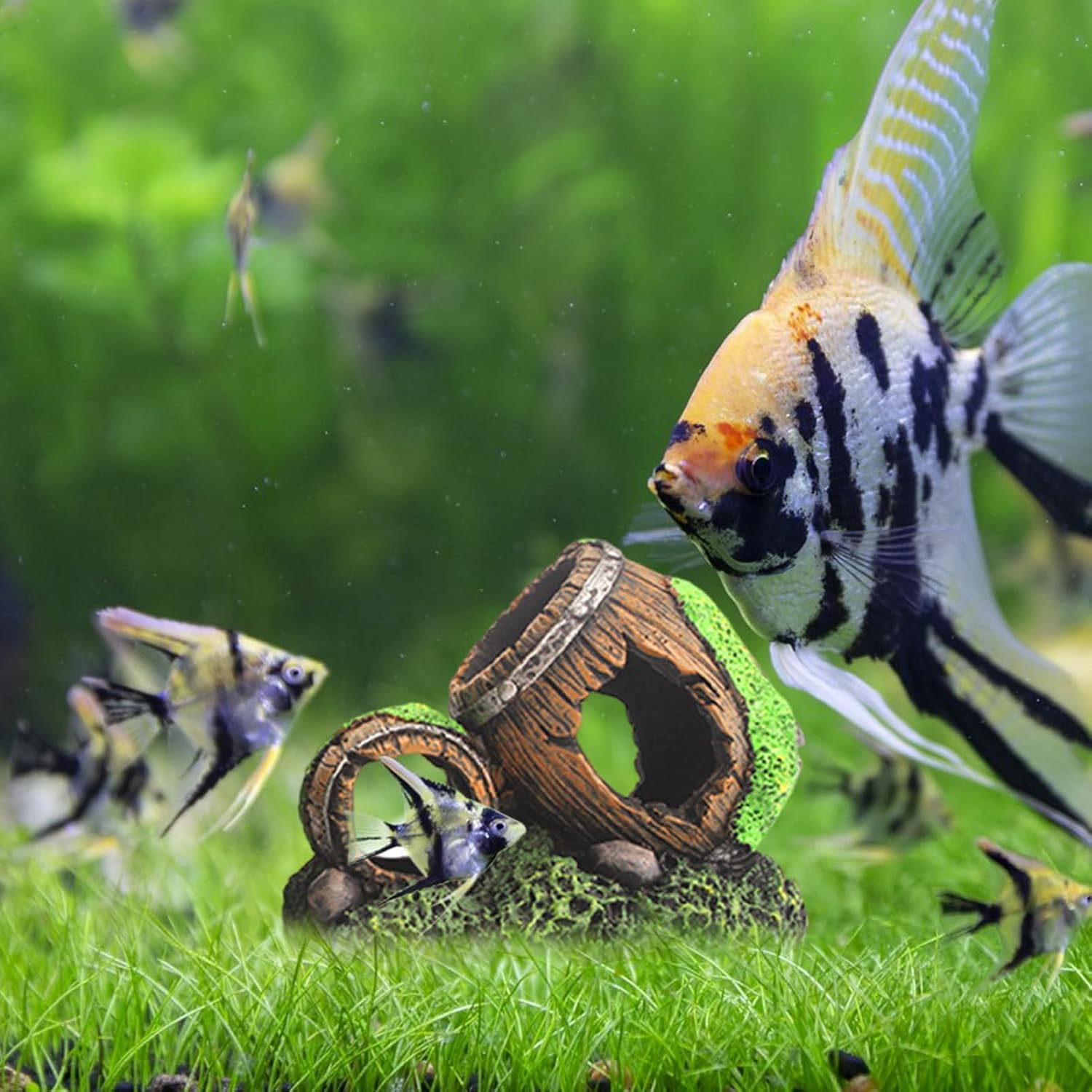 Fish Tank Cave | Hollow Wine Barrel Habitat Decorations - Shrimp Cave | for Pet Store Workplace Saltwater Display Home Freshwater Terrarium image number 2