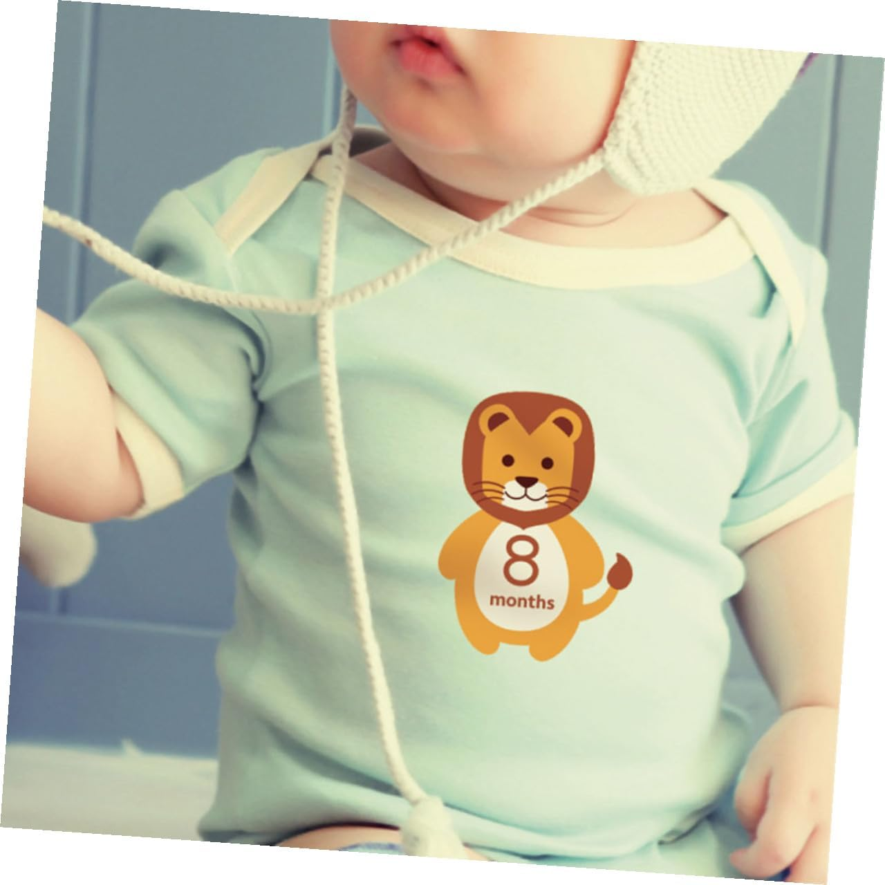 KOMBIUDA 12Pcs Monthly Stickers Animal Design Self-Adhesive Milestone Decals for Newborn Photography Props image number 4