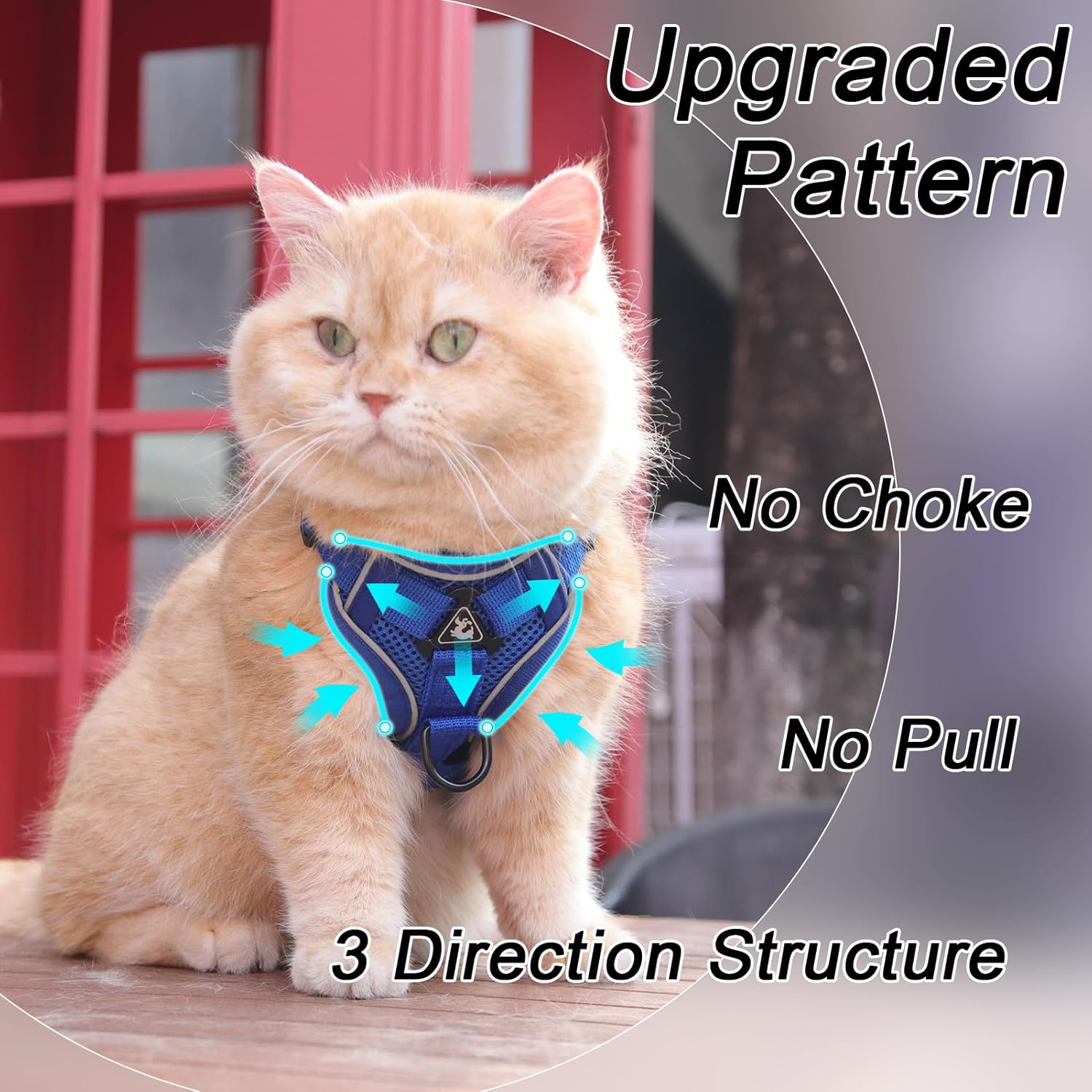 Vest Harness Leash Set for Small Dog Large Cat, Upgraded Escape Proof Adjustable Jacket with Lead for Puppy Fat Cat Outdoor Walking, Soft Breathable Mesh Coat with Reflective Strip XL Blue