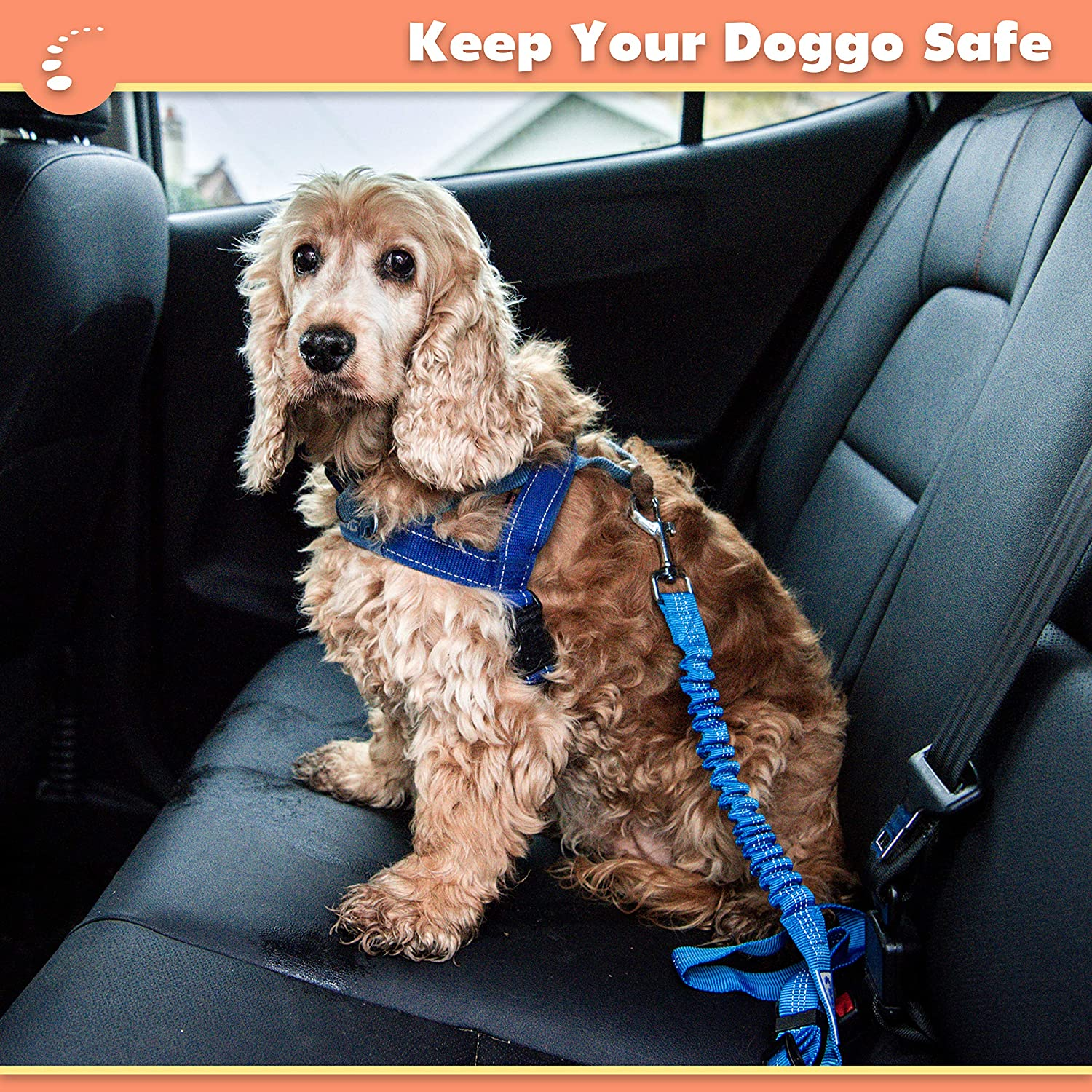Zenify Dog Car Seat Belt Seatbelt Lead Puppy Harness - Extendable Bungee Adjustable Carseat Clip Buckle Leash for Dogs Puppies Pets Travel - Pet Safe Collar Accessories Supplies Truck Safety (Blue) - Blue image number 5