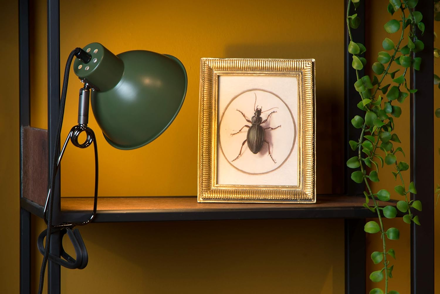 Lucide MOYS Clamp Light 1 X E27 Green - Green image number 4