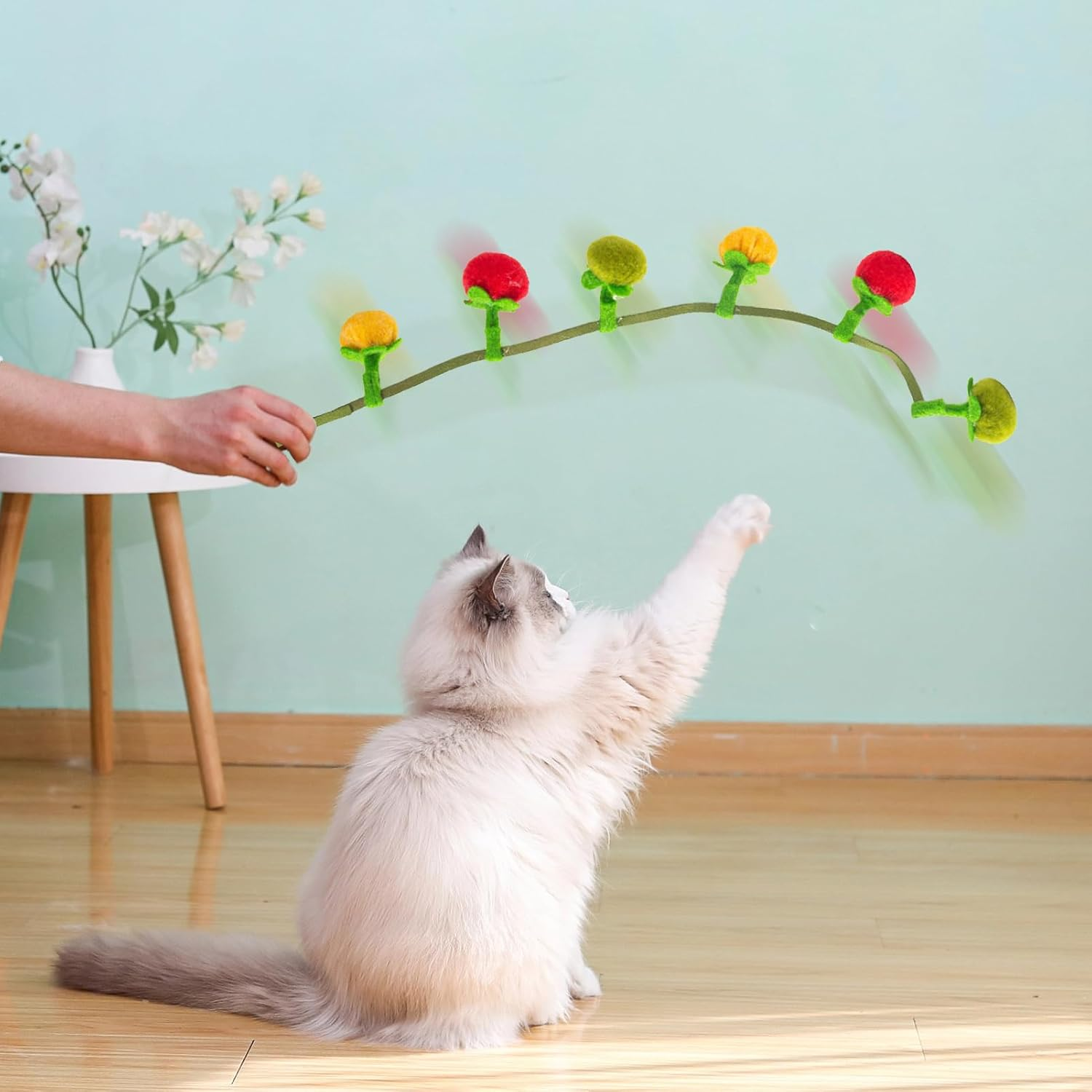 Shurzzesj Cat Toy with Catnip,Kitten Plush Catnip Toys | Boredom Animals Interactive Companion Tomato Shape for Backyard Park Living Room Bedroom image number 4