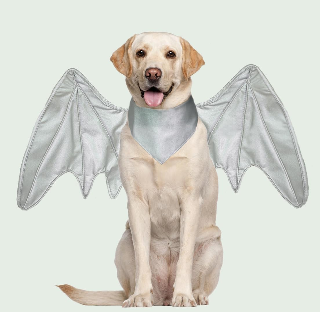 Funny Bat Dragon Wing Costumes for Dog, Cute Furry Pet Clothing for Halloween (Silver Wing, Size M) image number 4