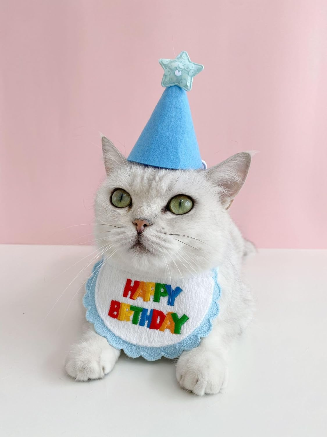 Pet Cat Dog Happy Birthday Scarfs and Party Hat Mini Doggy Cat Birthday Party Decoration Pet Birthday Outfit Pet Costumes Headwear Accessories (Blue, One Size)