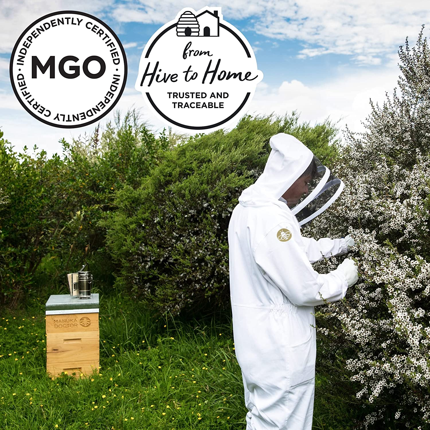 MANUKA DOCTOR - MGO 625+ Manuka Honey Monofloral, 100% Pure New Zealand Honey. Certified. Guaranteed. RAW. Non-Gmo (250G) image number 3
