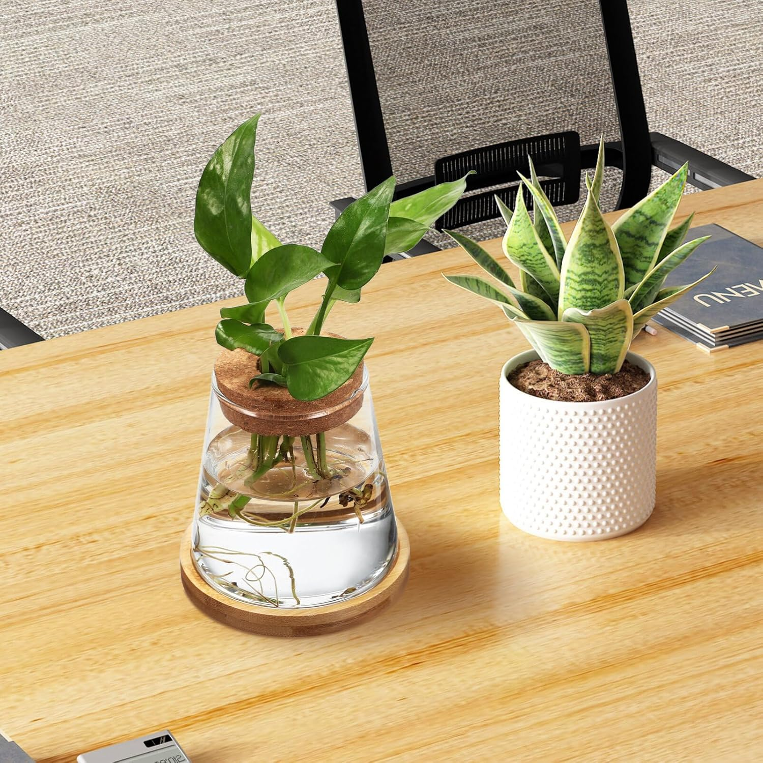 TOVINANNA 2Pcs Hydroponic Plants Terrarium with Cork Stopper and Base Glass Propagation Jars for Indoor Greenery Decor Elegant Water for Home Centerpiece image number 2